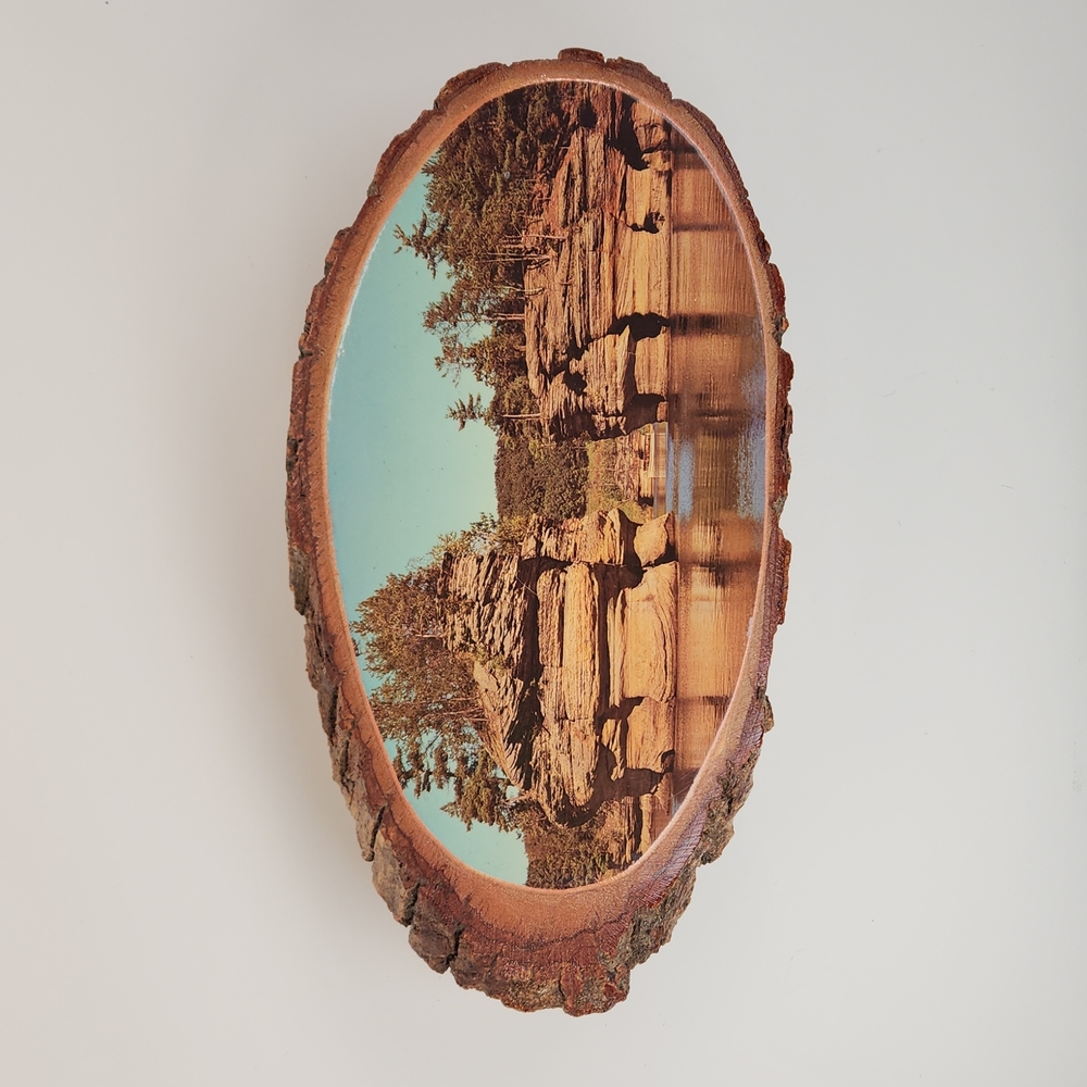Wisconsin Dells scene on natural wood From 1983!